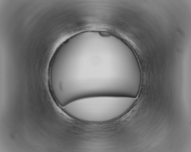 X0000110891471200906180955