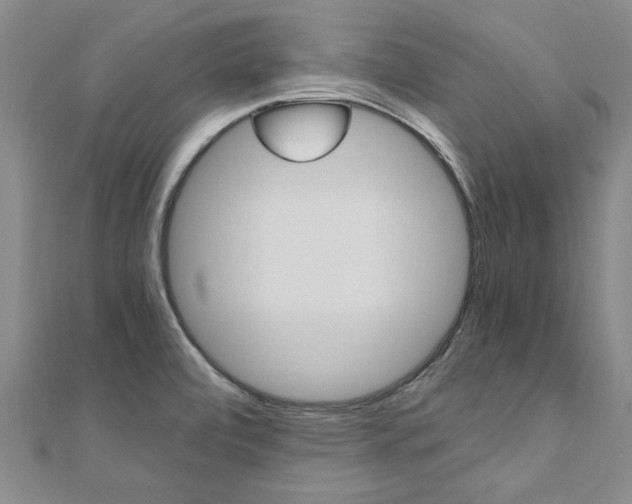 X0000110891472200906180955