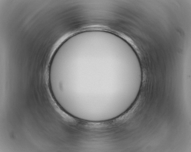 X0000110891474200906180955