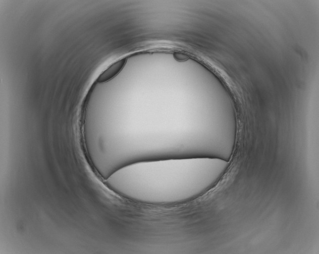 X0000110891475200906180955