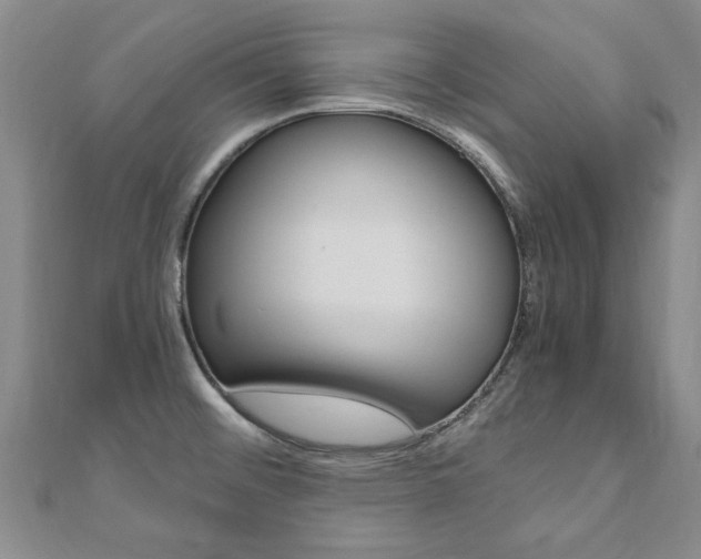 X0000110891476200906180955