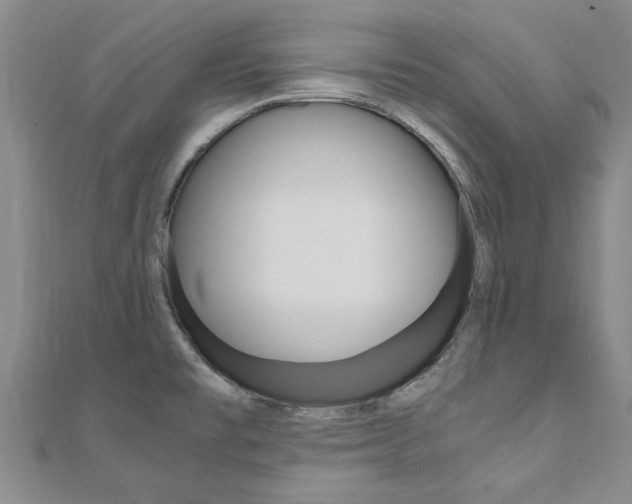 X0000110891477200906180955