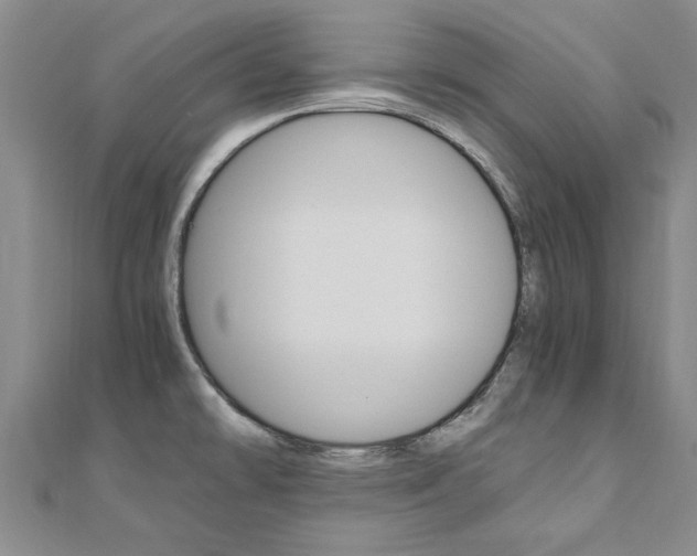 X0000110891478200906180955