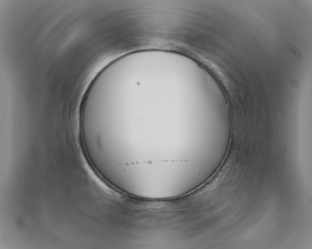 X0000110891479200906180955