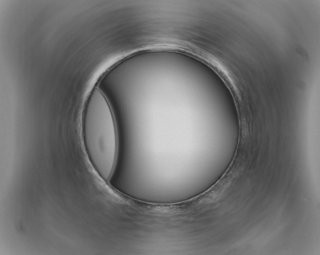 X0000110891480200906180955