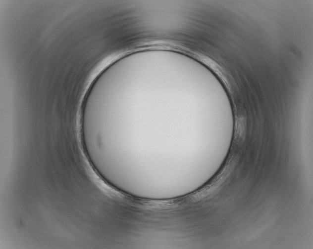 X0000110891482200906180955