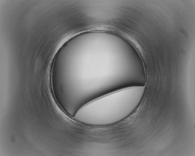 X0000110891483200906180955