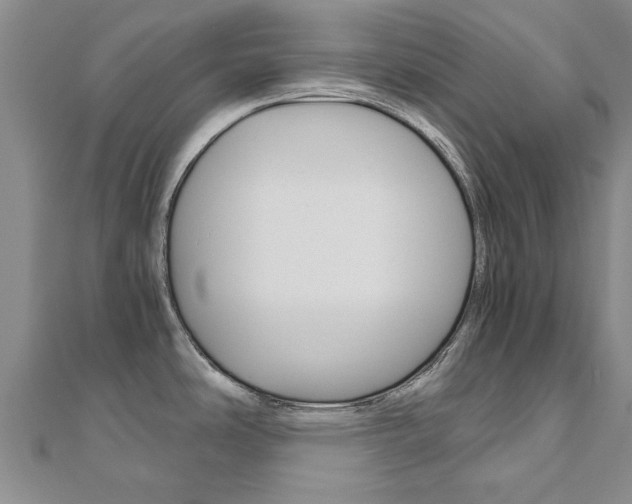 X0000110891486200906180955