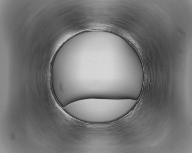 X0000110891487200906180955