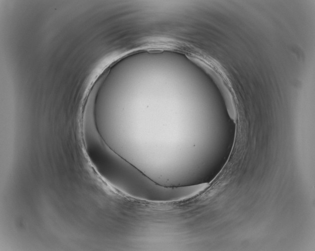 X0000110891488200906180955