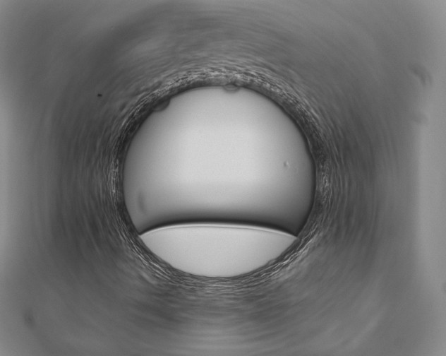 X0000110891490200906180954