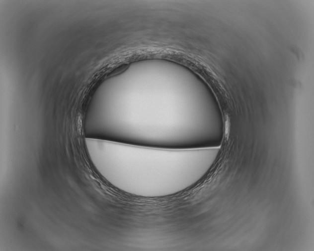 X0000110891492200906180954