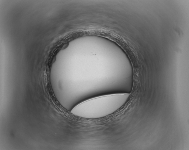 X0000110891493200906180955