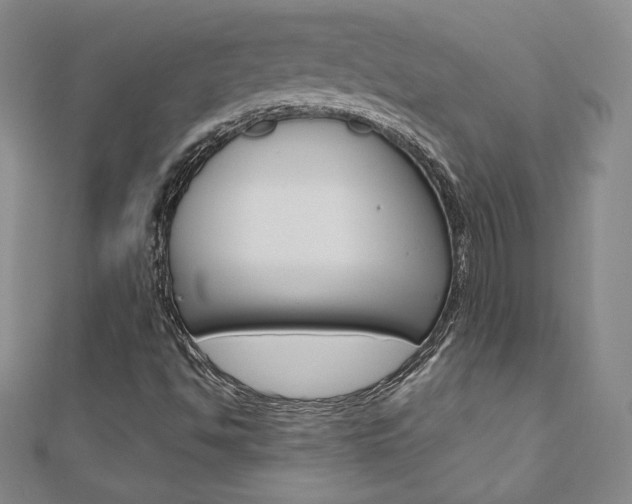 X0000110891494200906180955
