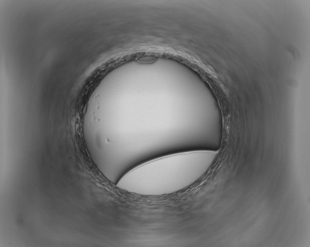 X0000110891495200906180955