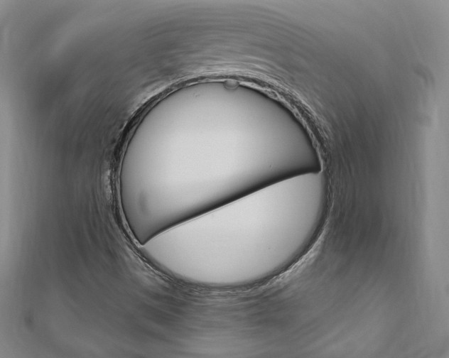 X0000110891497200906180955