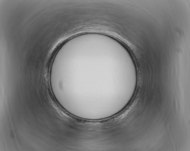 X0000110891498200906180955