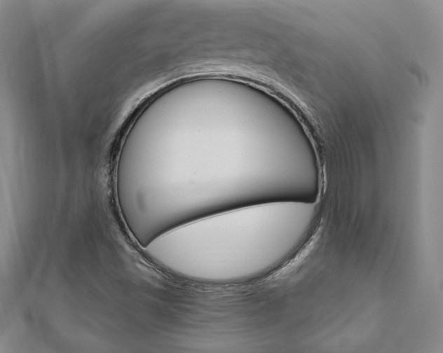 X0000110891501200906180955