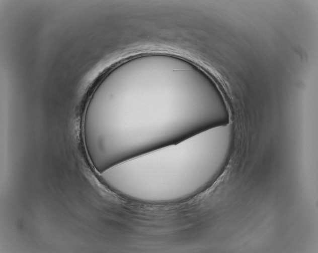 X0000110891503200906180955