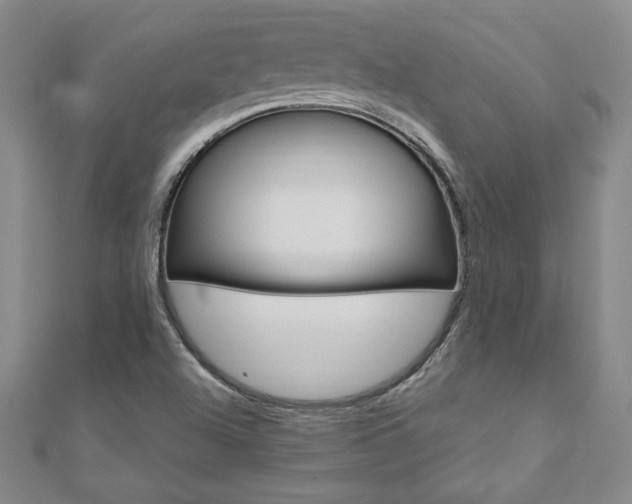 X0000110891504200906180955