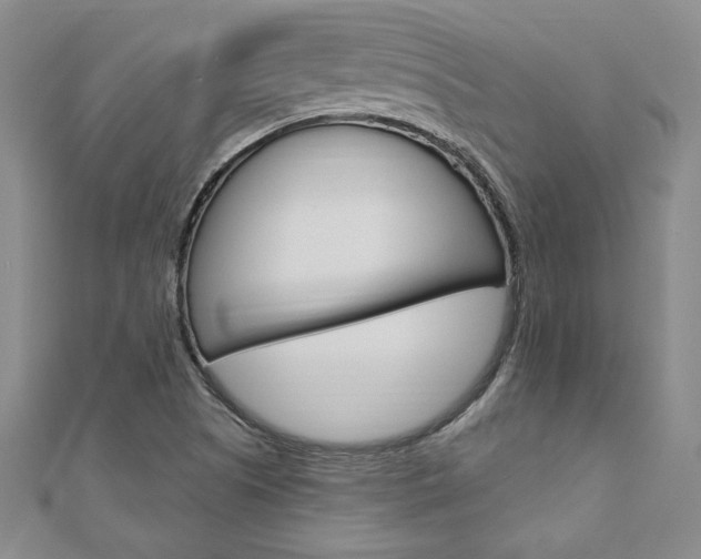 X0000110891505200906180955
