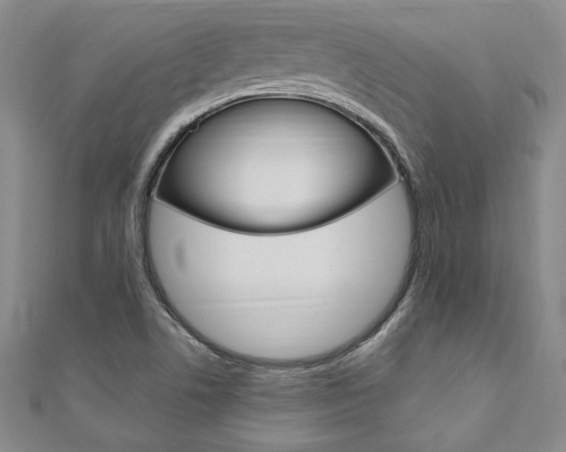 X0000110891506200906180955