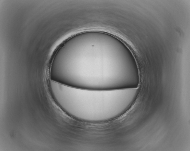X0000110891510200906180955