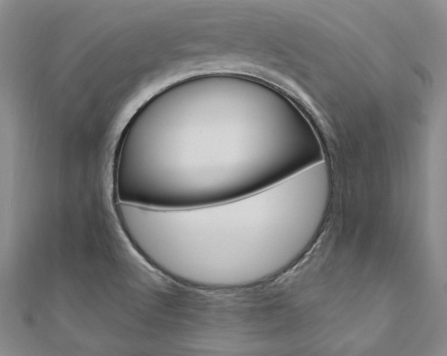 X0000110891512200906180955