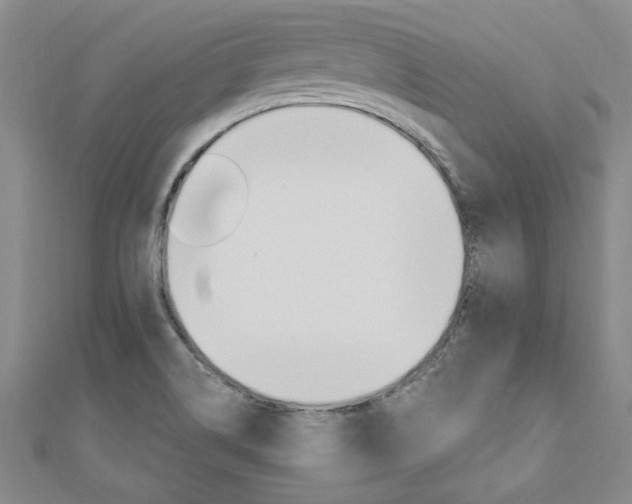 X0000110891514200906180955