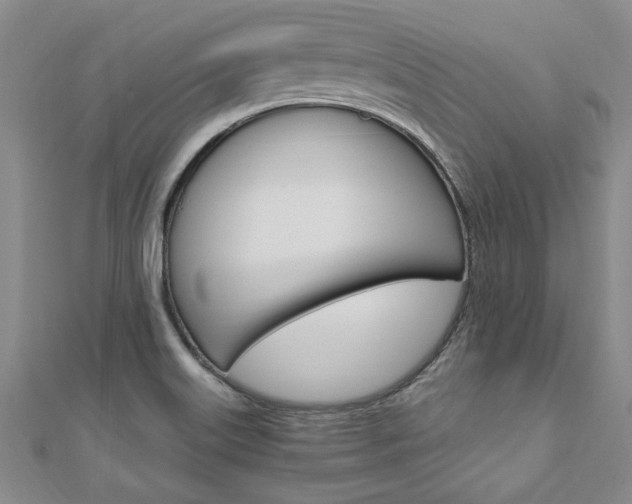 X0000110891515200906180955