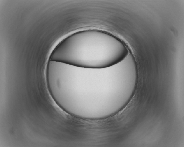 X0000110891516200906180955
