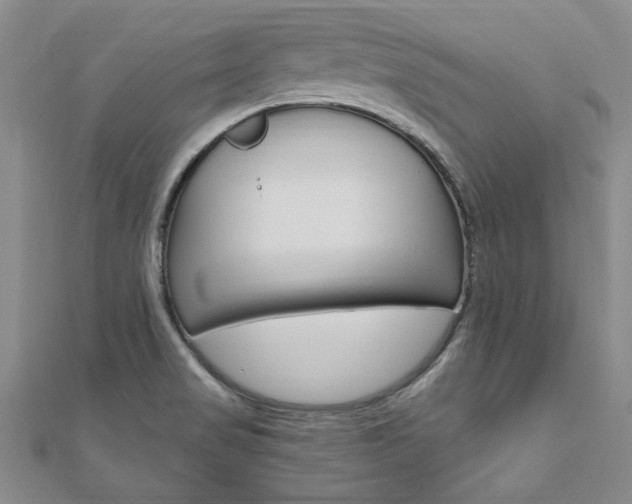 X0000110891517200906180955