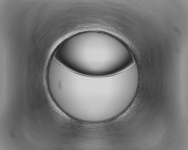 X0000110891518200906180955