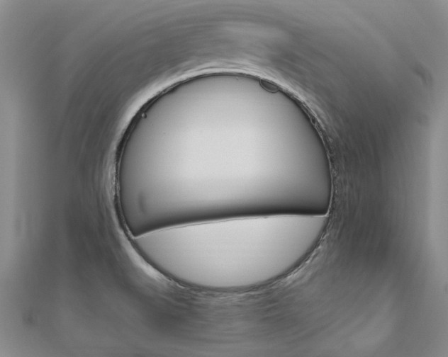 X0000110891519200906180955