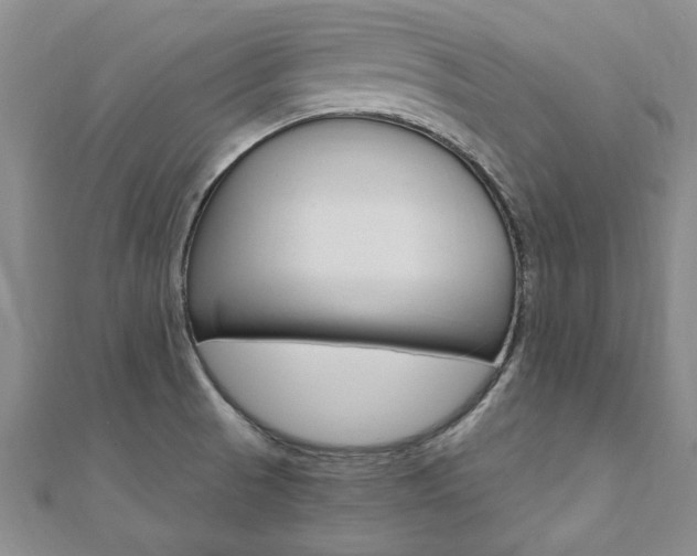 X0000110891521200906180955