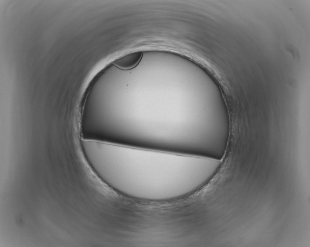 X0000110891522200906180955