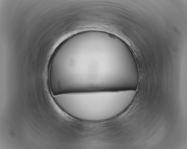 X0000110891523200906180955