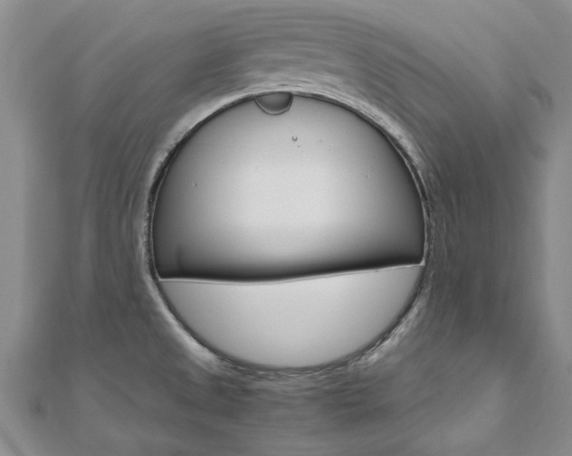X0000110891525200906180955