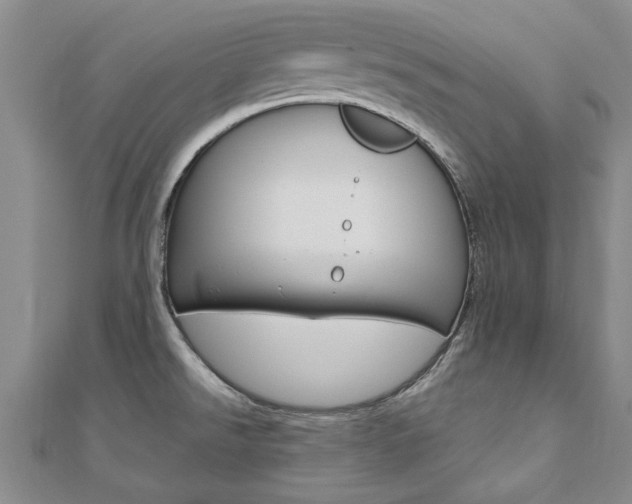 X0000110891526200906180955
