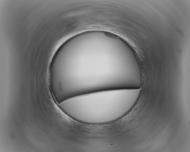 X0000110891527200906180955