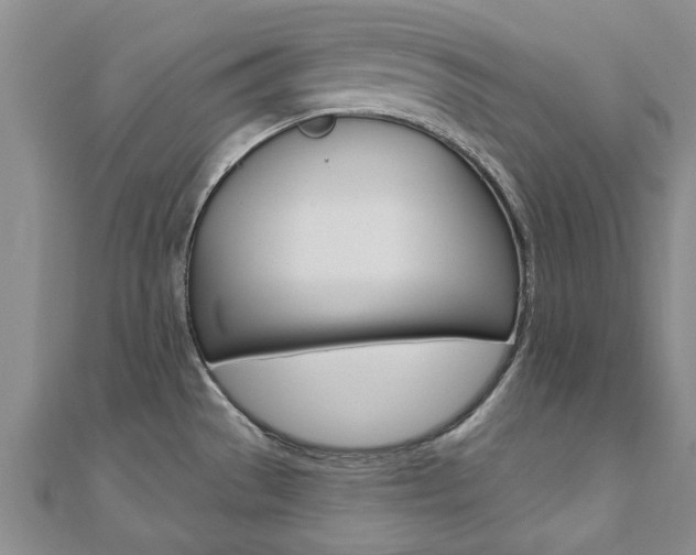 X0000110891529200906180955