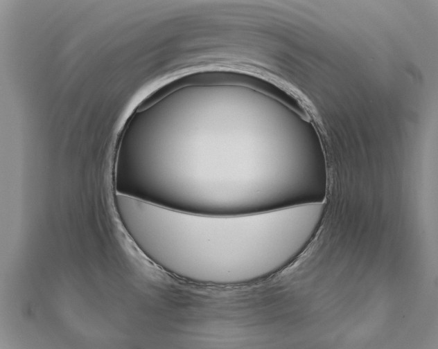 X0000110891530200906180955