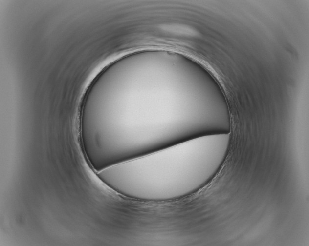 X0000110891531200906180955