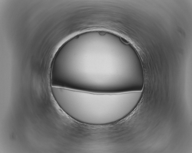 X0000110891534200906180955