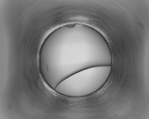 X0000110891535200906180955