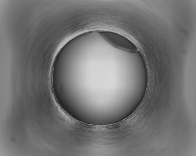 X0000110891536200906180955