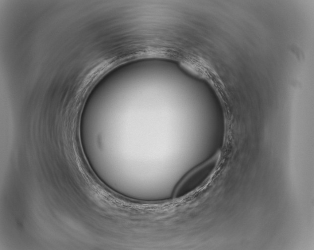X0000110890001200906181255