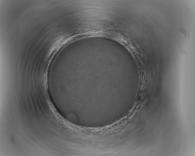 X0000110890002200906181255
