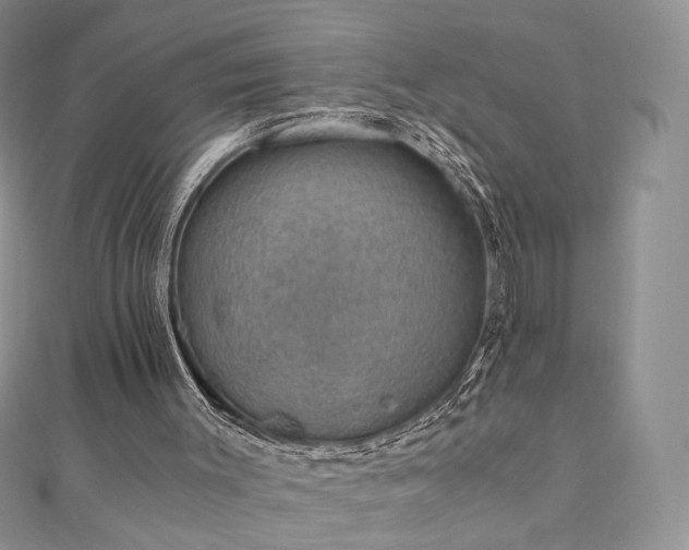 X0000110890003200906181255