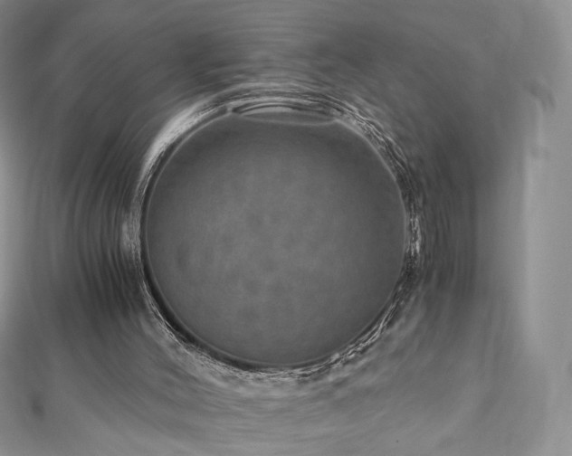 X0000110890004200906181255